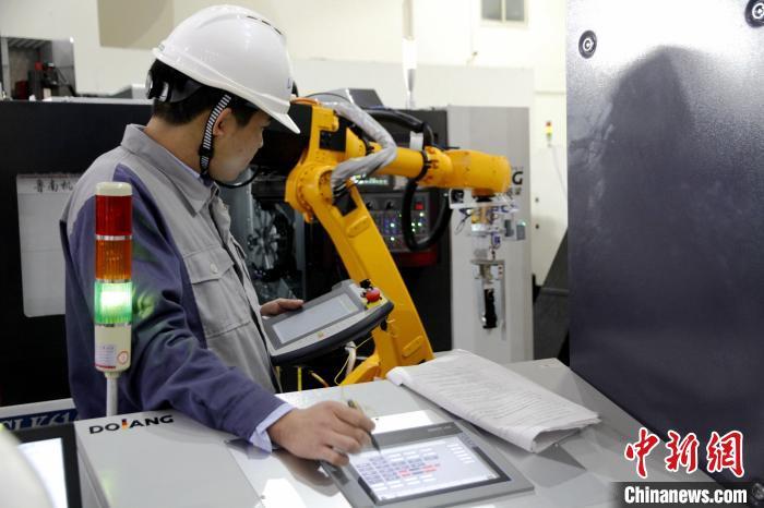 2025年免费正版资料大全全面释义、解释与落实