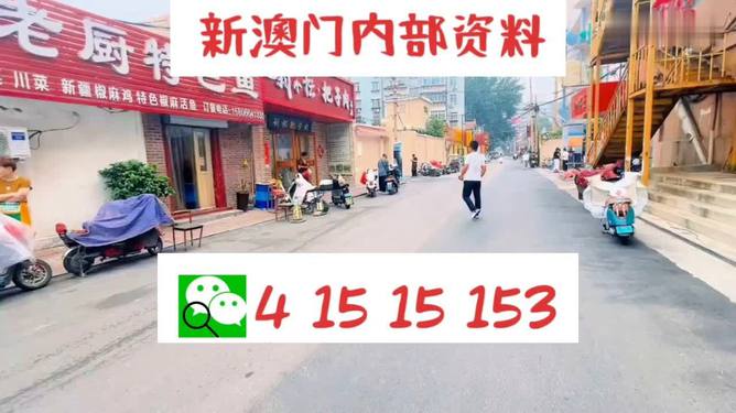 新2025年澳门天天开好彩，详细解答、解释与落实